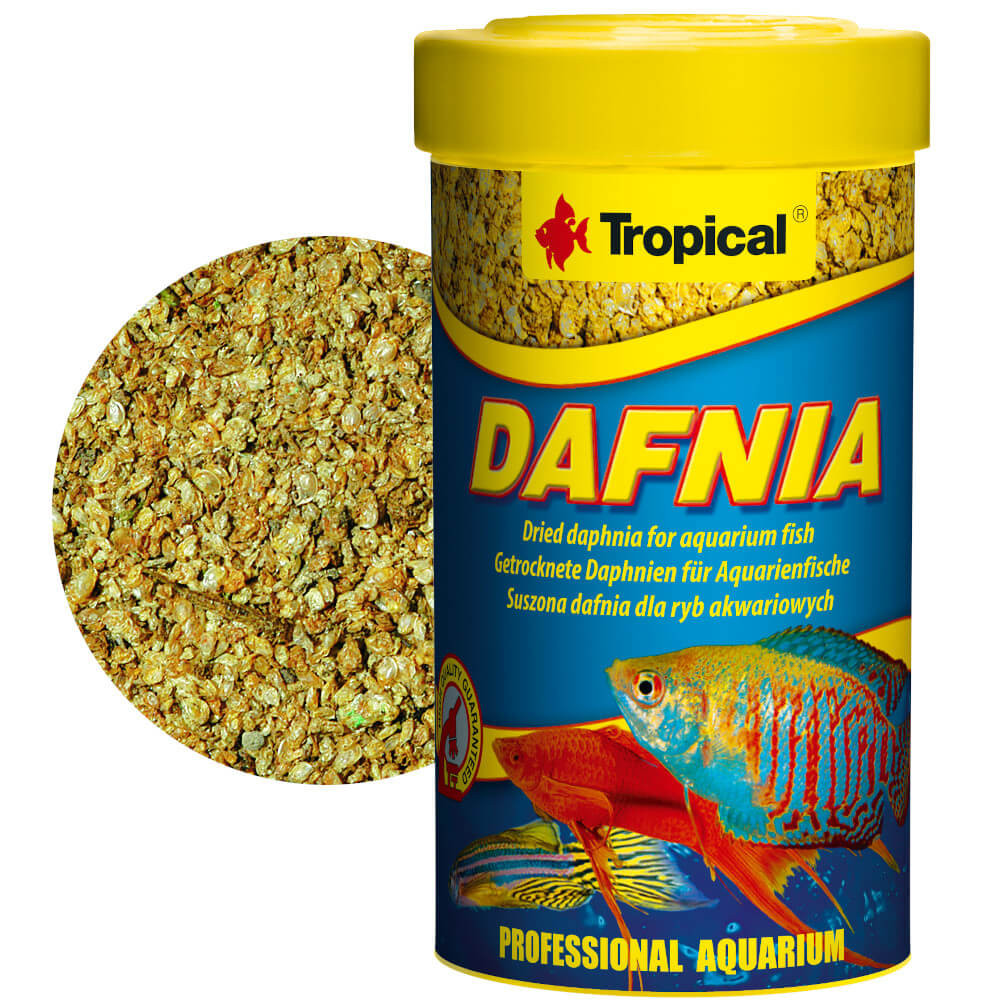 Tropical Dafnia 100ml - 18g Naturalna rozwielitka