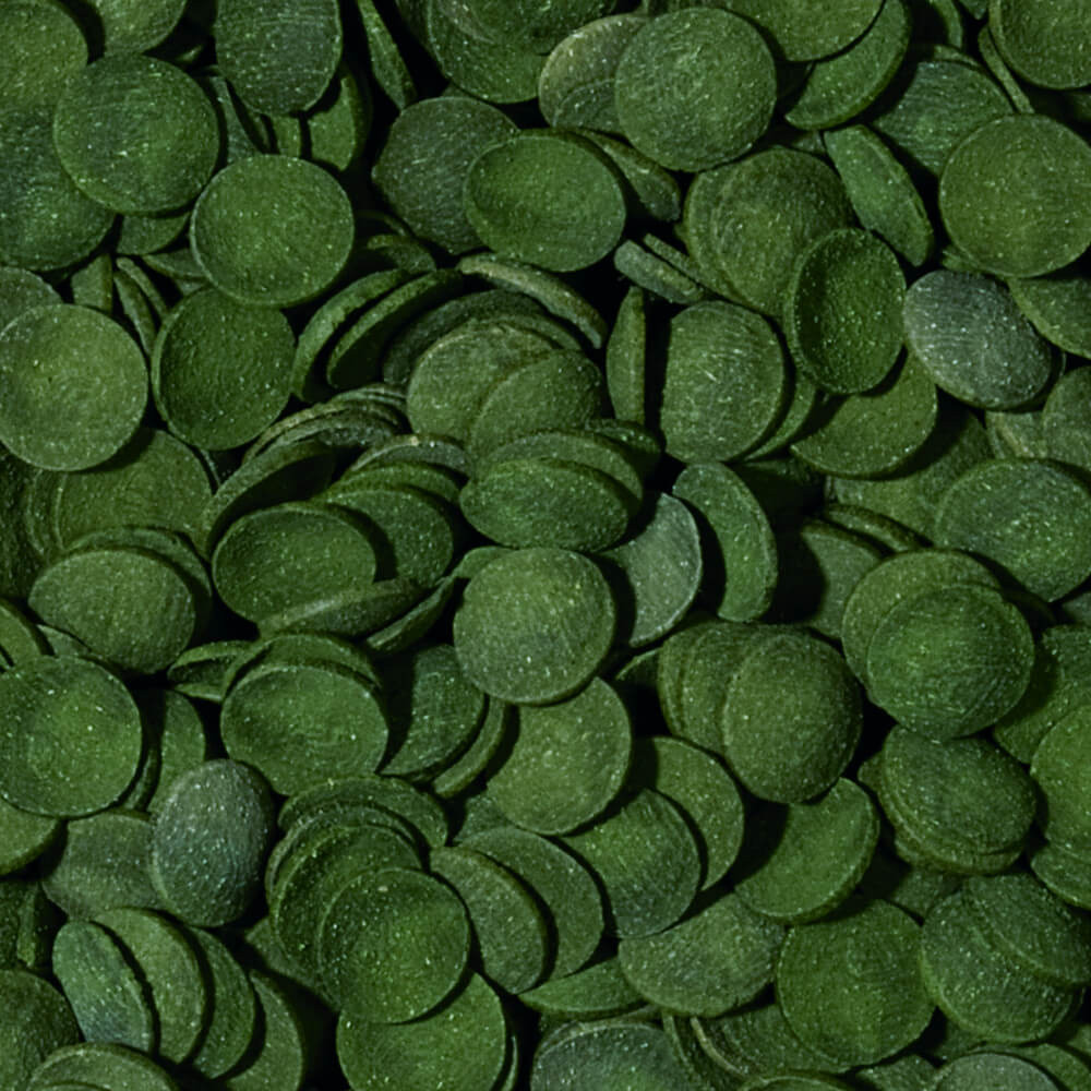 Tropical Green Algae Wafers 500ml - 225g uzupełnienie