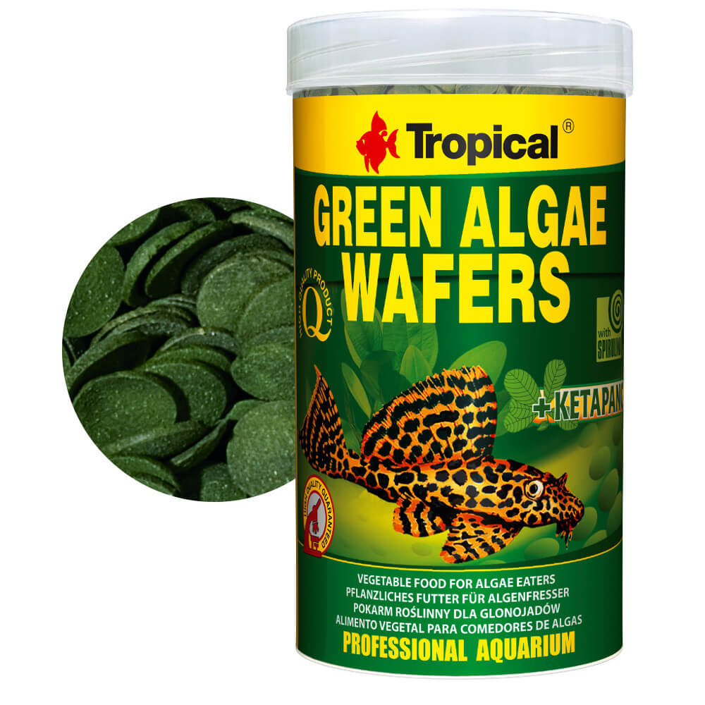 Tropical Green Algae Wafers 250ml - 113g dla glonojadów