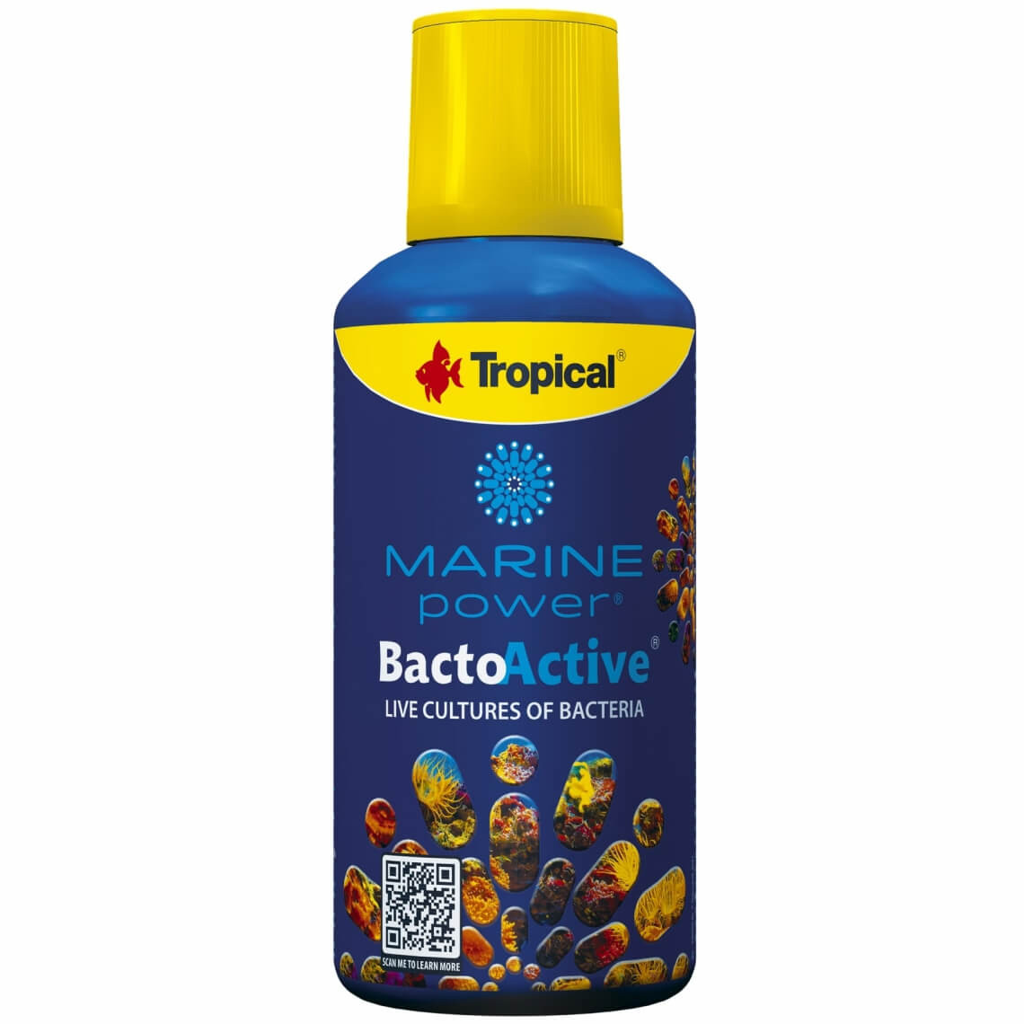 Tropical Marine Power Bacto-Active 250ml - Bakterie do akwarium