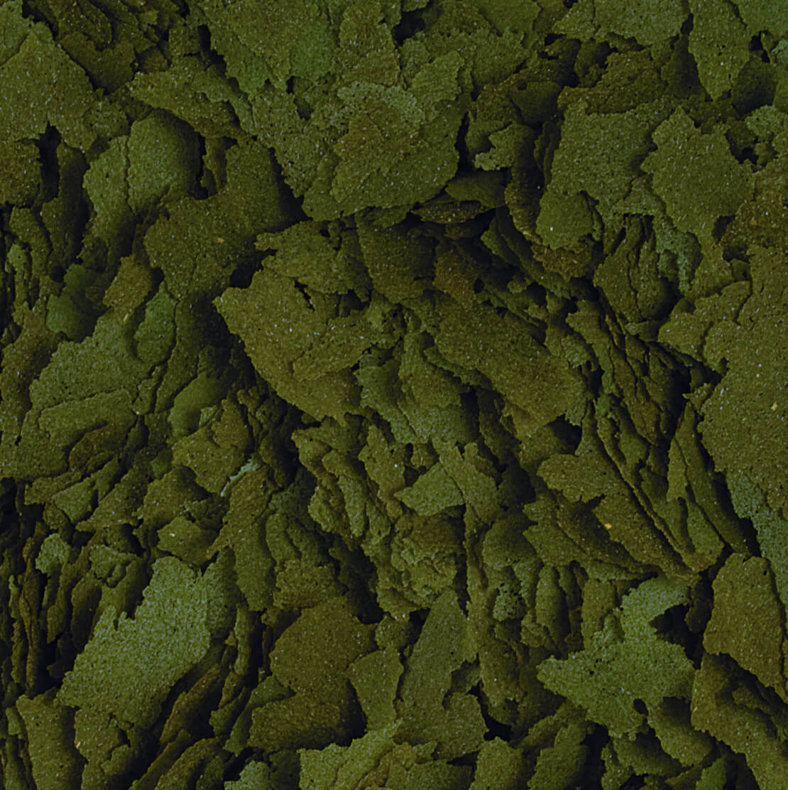 Tropical Spirulina Flakes 1L - 190g Pokarm dla ryb