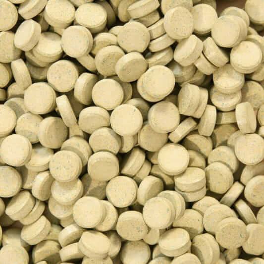 Glopex Vegetaltablets 50g tabletki pokarm roślinny