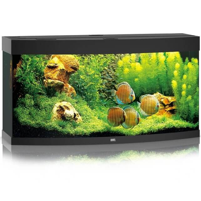 Juwel Vision 260 Helialux Spectrum czarny akwarium