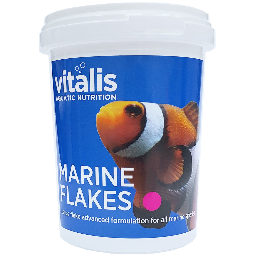 Vitalis Marine Flakes 40g Pokarm dla ryb morskich