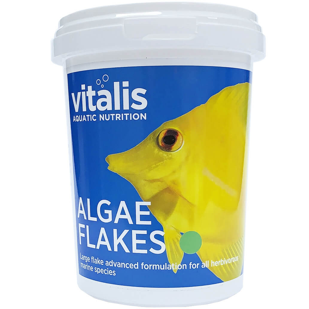 Vitalis Algae Flakes 40g Pokarm dla ryb morskich