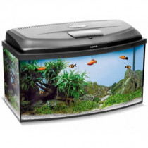 BETTA 2 Zestaw akwarium dla bojownika 20L PROFIL + gratis