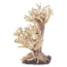 Progrow Bonsai Tree BT1S 20X10X15cm 