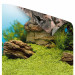 Juwel Poster 1XL tło do akwarium fototapeta 150x60