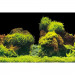 AQUA NOVA DWUSTRONNE TŁO AKWARIOWE ROCK/PLANTS L 100X50 CM
