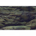 AQUA NOVA DWUSTRONNE TŁO AKWARIOWE ROCK/PLANTS L 100X50 CM