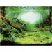 Aqua Nova Tło do akwarium 100x50cm PlantsOcean 2x fototapeta