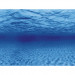 Aqua Nova Tło do akwarium 100x50cm RootsWater 2x fototapeta