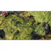 Oase AquaActiv Algo Direct 5L Usuwa glony nitkowate