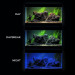 Aquael Pokrywa do akwarium 80x35cm LED D&N 14W prosta