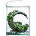 Aquael Shrimp Set Day&Night 30 biały LED zestaw akwarium