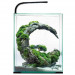 Aquael Shrimp Set Day&Night 30 czarny LED zestaw akwarium