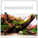 Aquael Ultrascape 60 Snow Akwarium zestaw LED 3x10W + gratisy