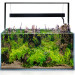 Aquael Ultrascape 90 Forest Akwarium zestaw LED 4x14W + gratisy
