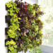 Aquael Versa Garden Green Wall - zielone ściany