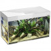 Aquael Glossy ST 80 D&N Zestaw akwarium biały LED D&N + gratisy