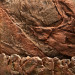 Juwel Cliff Dark tło strukturalne 60x55x3,5cm