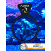 Flipper DeepSee Nano lupa do akwarium 7,6cm 