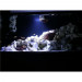 Fluval Plant Nano 15W Bluetooth Lampka do akwarium słodkowodnego