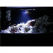 Fluval Sea Marine Nano Bluetooth LED 20W Lampka do akwarium morskiego