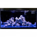 Fluval Sea Marine Nano Bluetooth LED 20W Lampka do akwarium morskiego