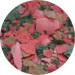 HS O.S.I. Cichlid Flakes 400ml - 70g pokarm dla pielęgnic płatki