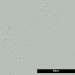 JBL FilterStart 10ml - biostarter do filtra - bakterie