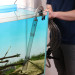 JBL ProClean Aqua In Out odmulacz pompa wąż - podmiana wody