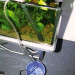JBL ProClean AquaEx Set 45-70 odmulacz do akwarium