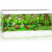 Juwel Rio 240 LED akwarium zestaw bisły