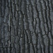 Juwel tło STR 600 strukturalne 50x60cm do akwarium