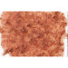 Tetra FreshDelica Krill 48g - Kryl w żelu