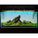 Lightground LED 30x35cm 6mm - Tło podświetlane białe do akwarium 