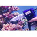 Maxspect Coral GlueGun klej w pistolecie do korali