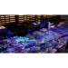 Maxspect Ethereal E5-130 lampa oświetelenie LED do akwarium 130W