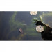 Oase AquaActiv Algo Direct 5L Usuwa glony nitkowate
