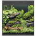 Oase StyleLine 85 LED czarny zestaw akwarium + filtr BioPlus Thermo 100