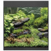 Oase StyleLine 85 LED czarny zestaw akwarium + filtr BioPlus Thermo 100