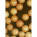 Ocean Nutrition Brine Shrimp Eggs 20g Jaja solowca artemia