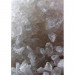 Ocean Nutrition Brine Shrimp Premix 50g jaja artemii solowca