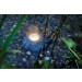 Pontec PondoStar Rocklight Set 3 Oświetlenie LED do oczka 3x1W + gratisy