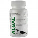 Qualdrop Algae 30g pokarm uzupełniający dla krewetek