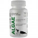 QualDrop Box Food for Shrimps - Vital Breed Algae 3x30g PIKOo 2x10g - pokarmy dla krewetek