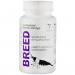 QualDrop Box Food for Shrimps - Vital Breed Algae 3x30g PIKOo 2x10g - pokarmy dla krewetek