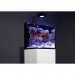 Red Sea Max Nano Reef System 75l akwarium + wyposażenie