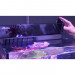 Red Sea Max Nano Reef System 75l akwarium + wyposażenie